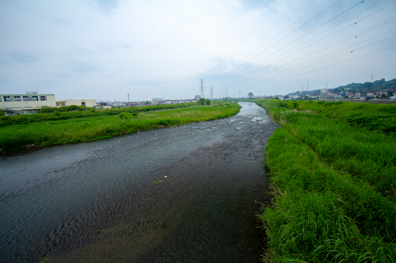 20190602-015-2.jpg