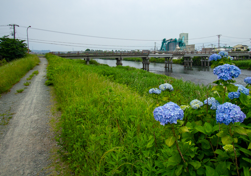 20190602-015.jpg
