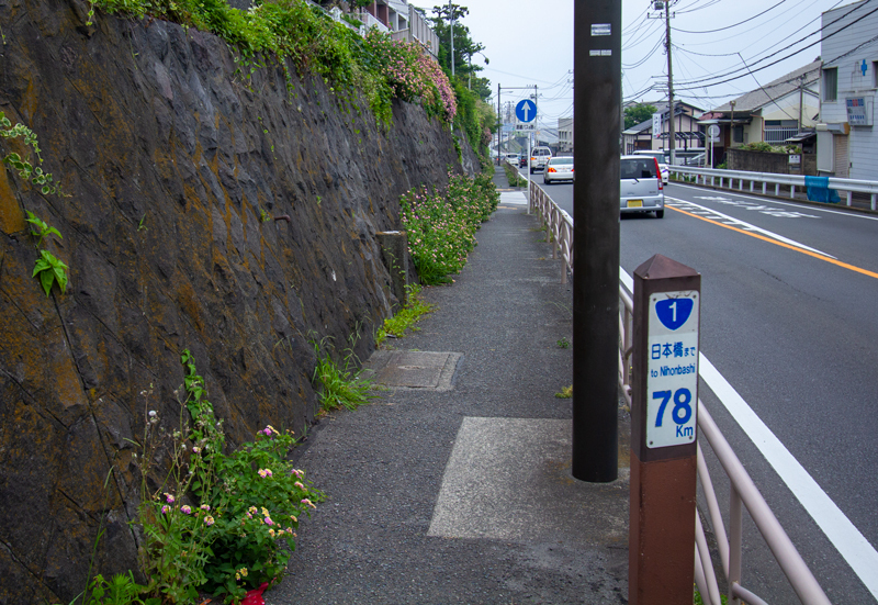 20190602-016-1-2.jpg