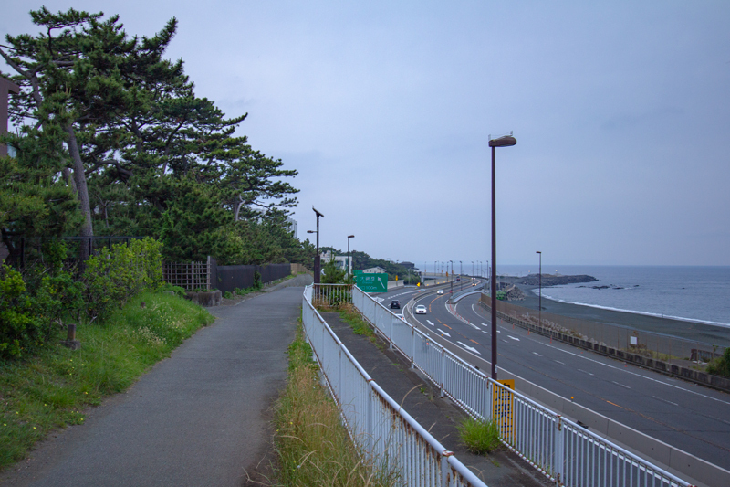 20190602-017.jpg