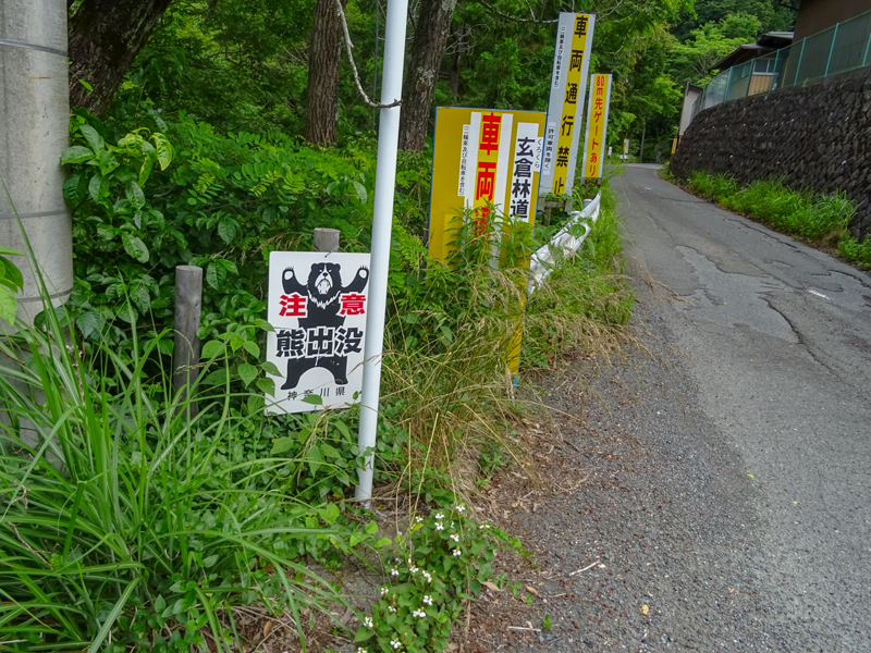 20196yuusin-000-01S.jpg