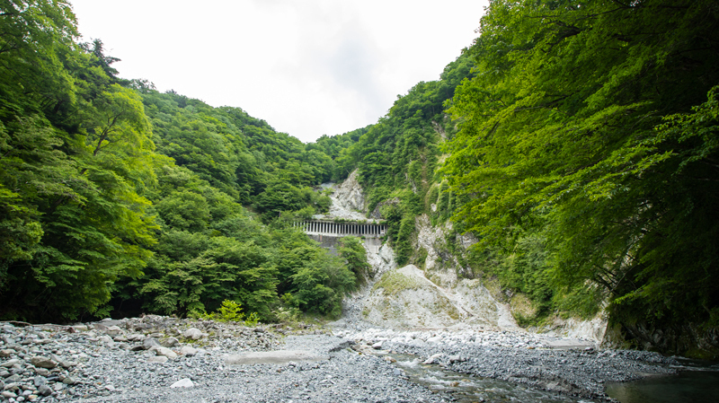 20196yuusin-000-3.jpg