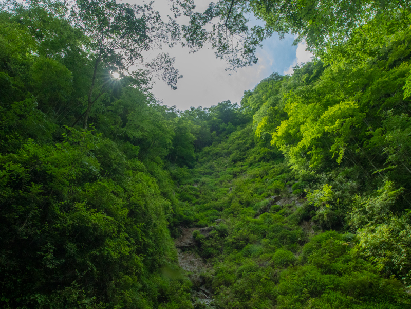 20196yuusin-021.jpg
