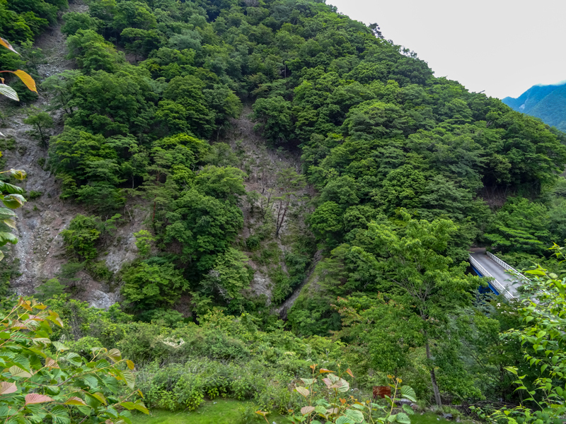 20196yuusin-042.jpg