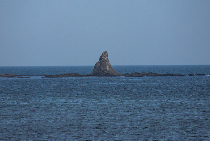 2020-06-1w-003.jpg