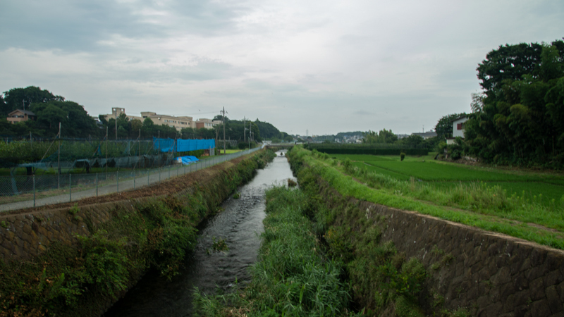 2020-0724-006.jpg