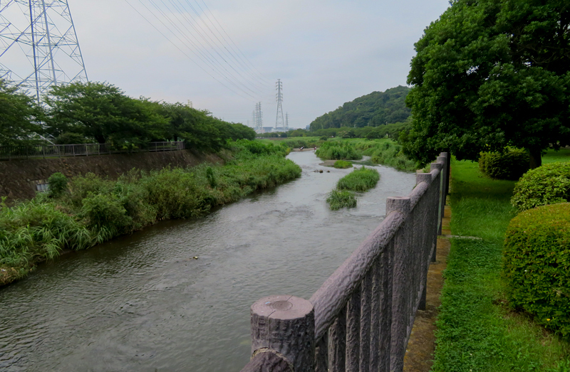 2020-0724-015.jpg