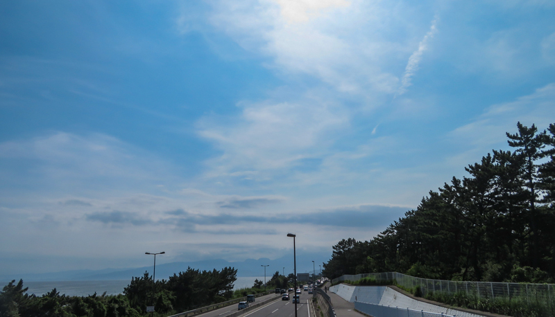 2020-08-02-025.jpg