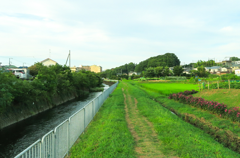 2020-8-obon-003-3.jpg