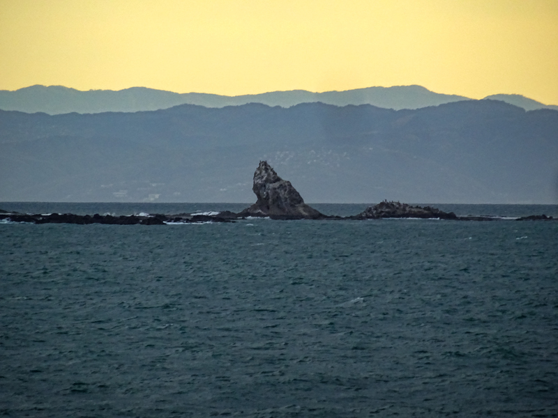 2020.04.中-1-000.jpg