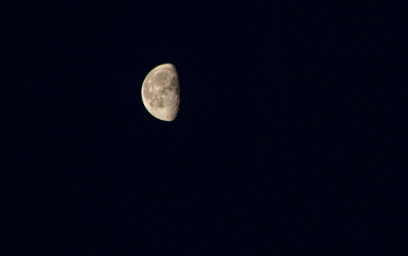 202005-2w-13-001.jpg