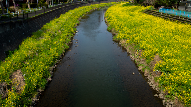 2021-3-pota013.jpg