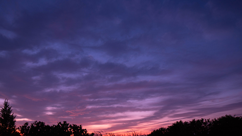 2021.0605-6.jpg