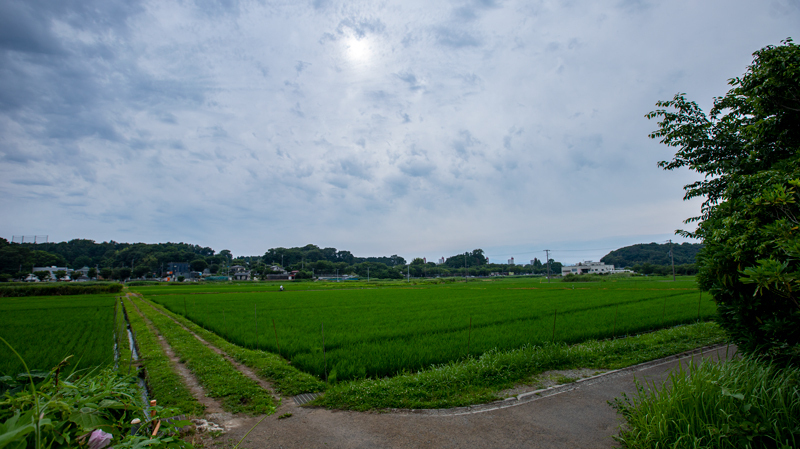 2021.07.18up-0004.JPG