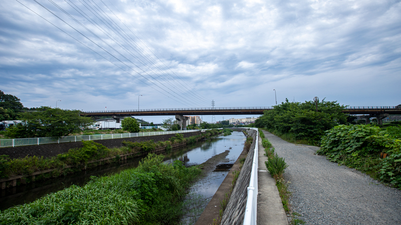 2021.07.18up-0005.JPG