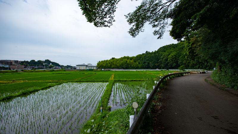 2021.07.18up-0006.JPG