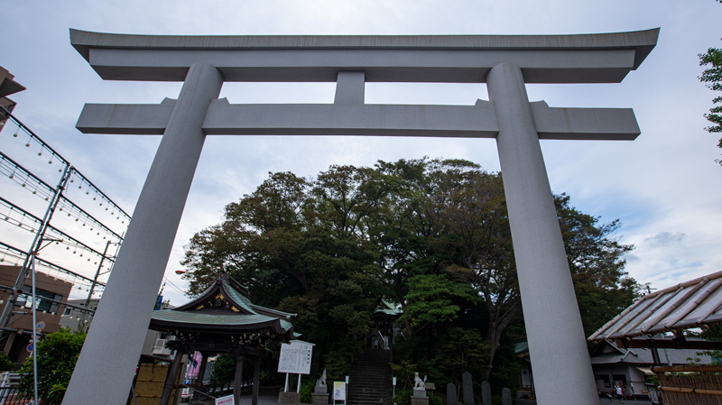 2021.09境川-000-2.jpg