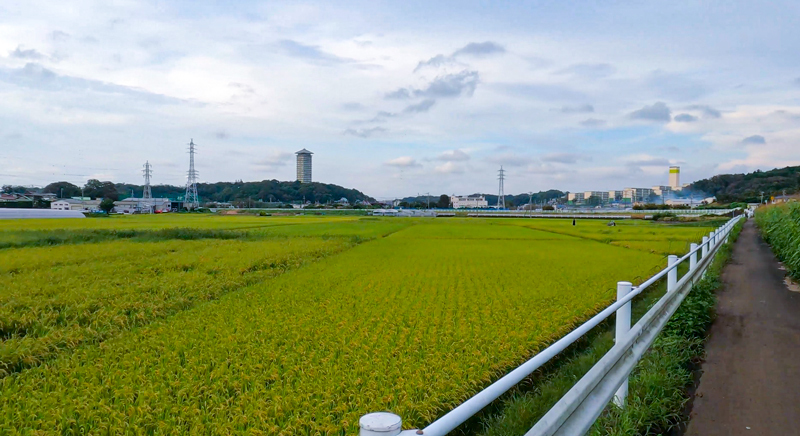 2021.09境川-001.jpg