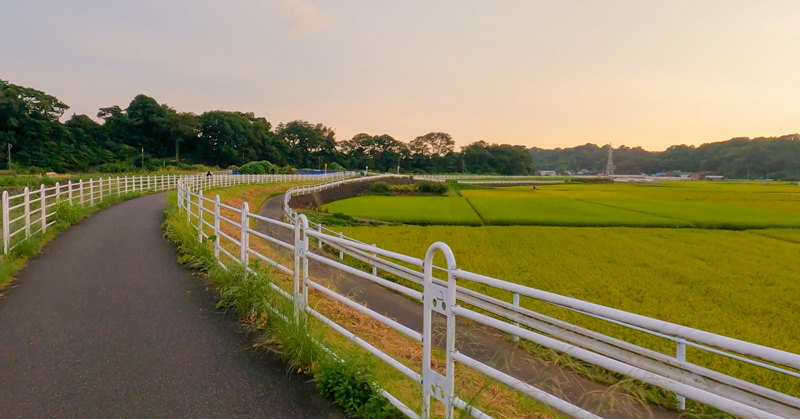 2021.09境川-003.jpg
