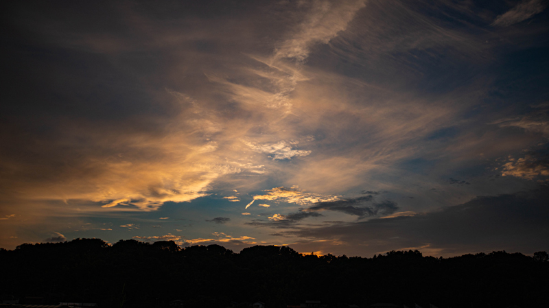 2021.09境川-008.jpg