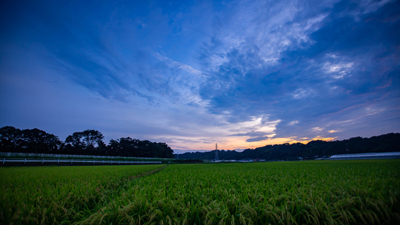 2021.09境川-009-3.jpg