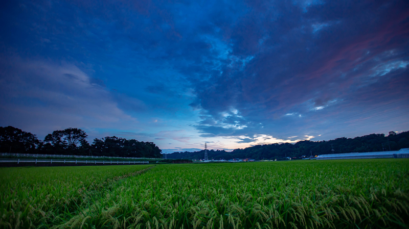 2021.09境川-009.jpg