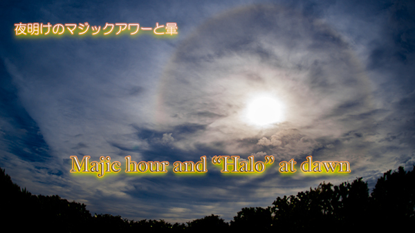 2021.9halo001.jpg