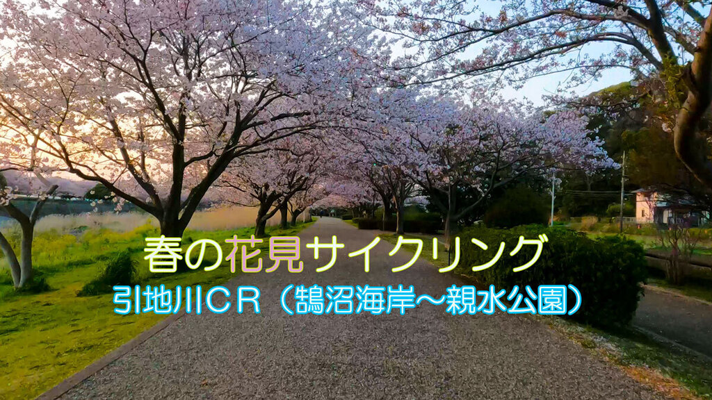 2022.04引地川花見ライド.jpg