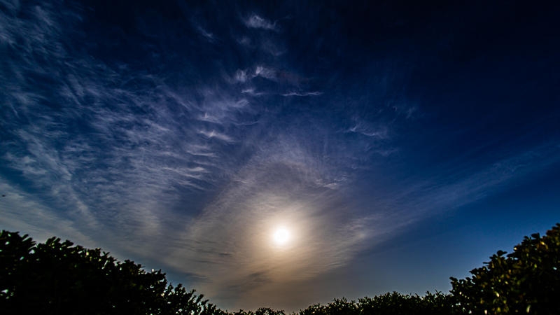 2022.06.26up-2.jpg