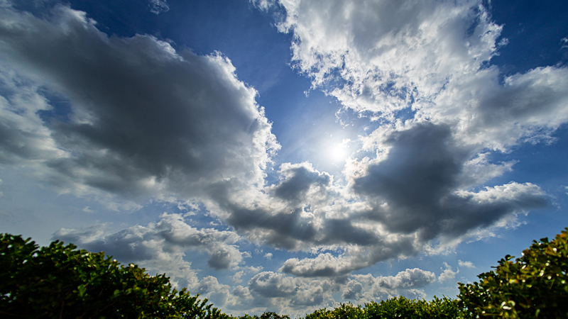 2022.06.26up-3.jpg