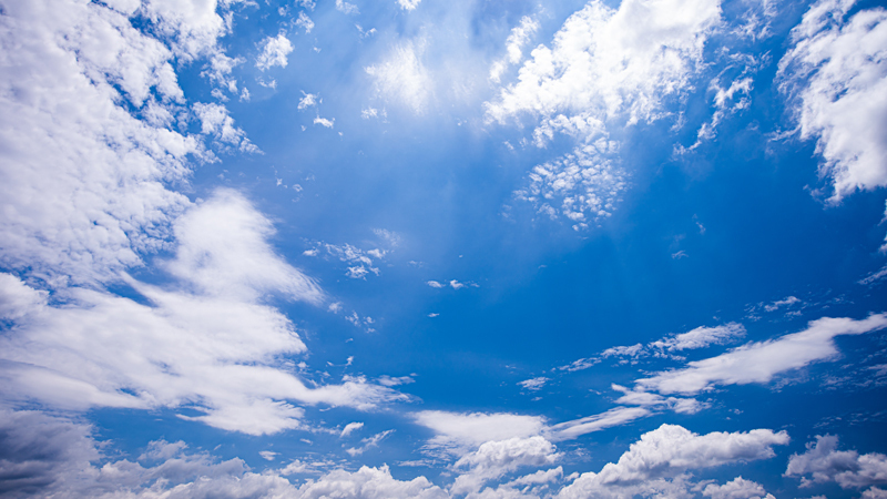 2022.06.26up-6.jpg