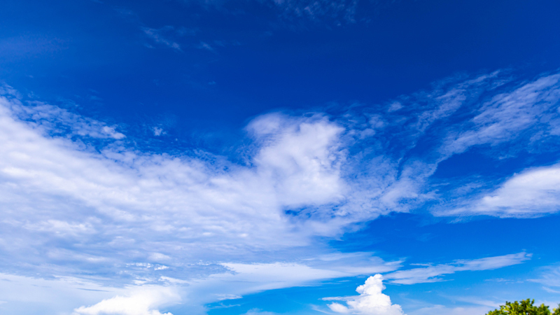 2022.08.夏空2022-004.jpg