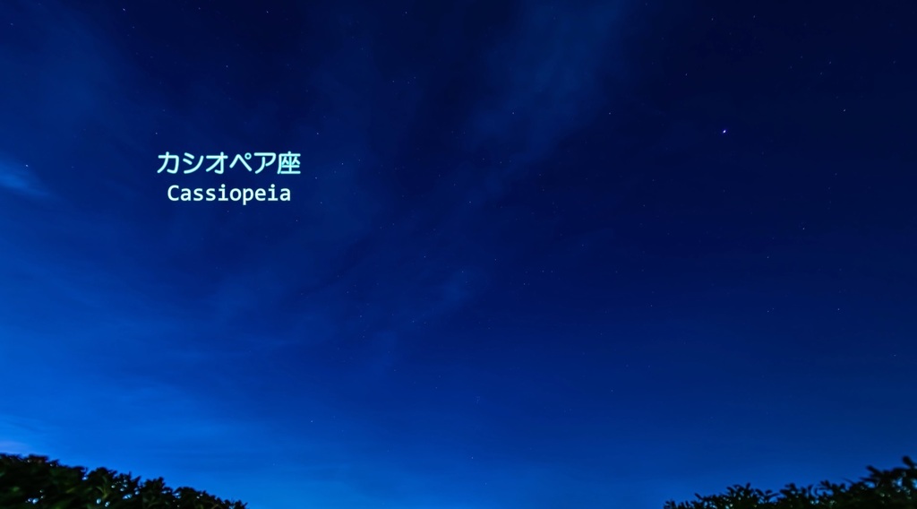 2022.09.22季節の変わり目-009.jpg