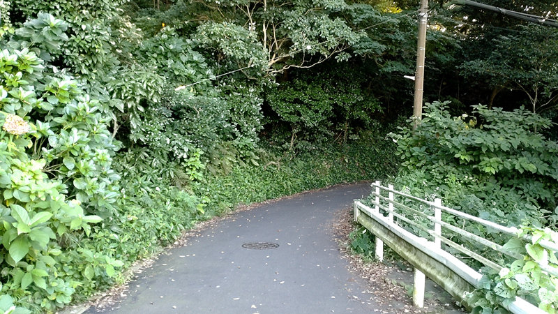 2022.10.09稚児ヶ淵-010.jpg