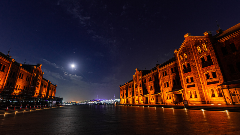 2022.11yokohama1-1-008.jpg