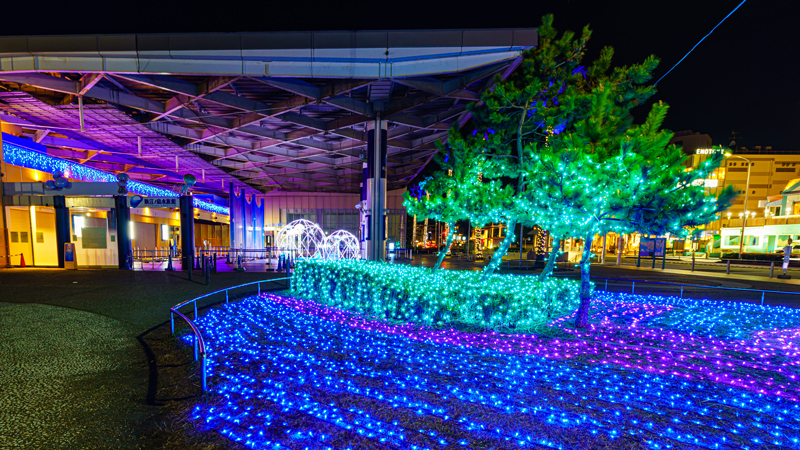 2022.12.09片瀬西浜-0005.jpg