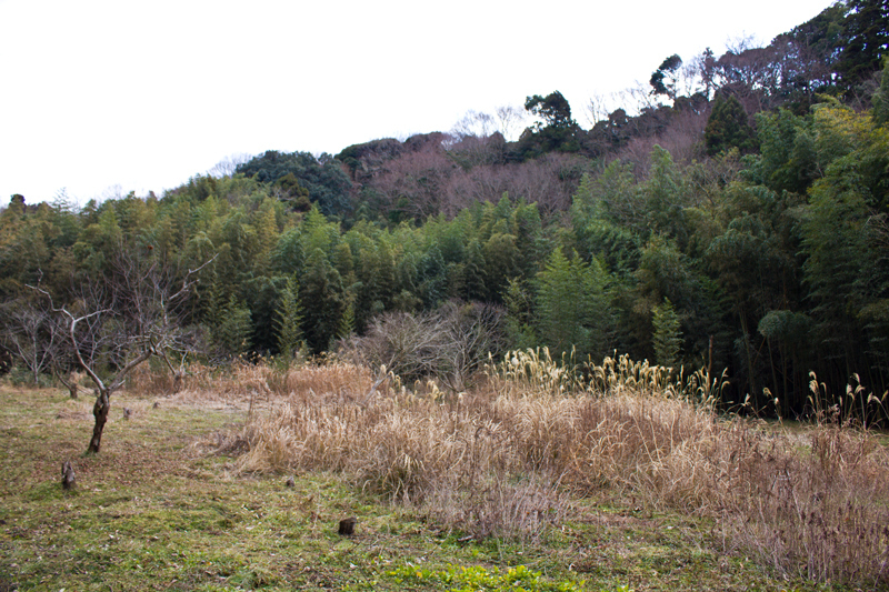 3.谷戸川登り切った場所.jpg