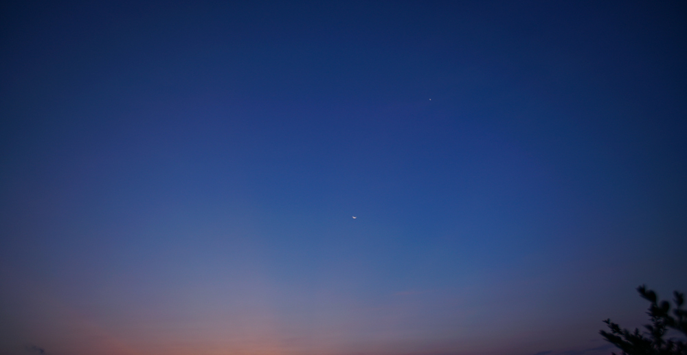 A6507363-1.jpg