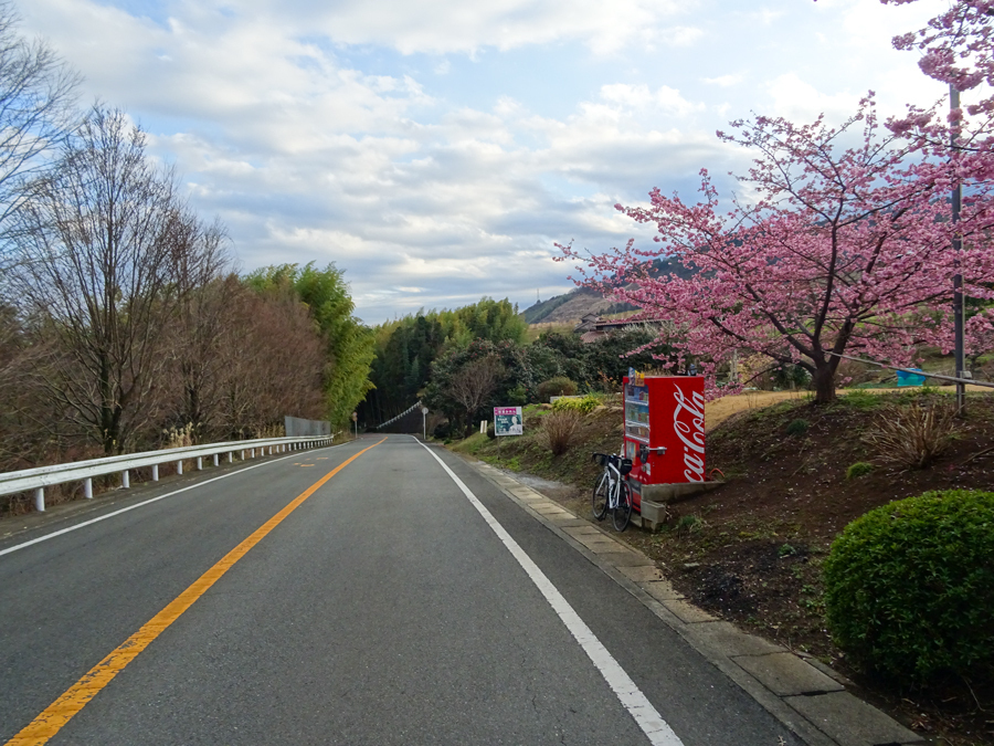 DSC00048.jpg