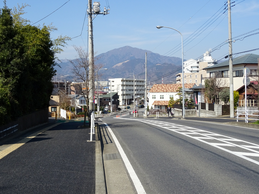 DSC00093.jpg