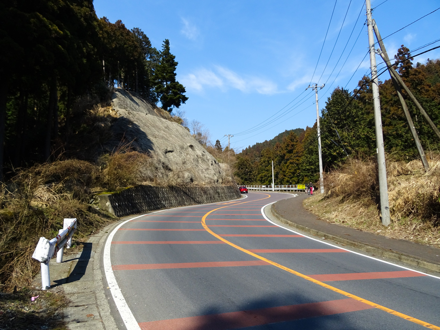 DSC00101.jpg