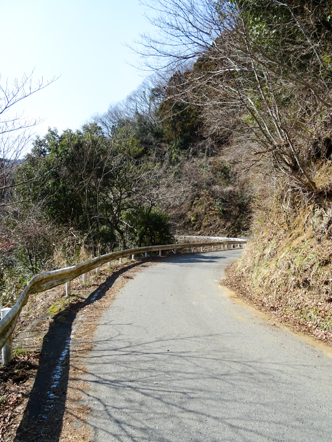 DSC00134.jpg