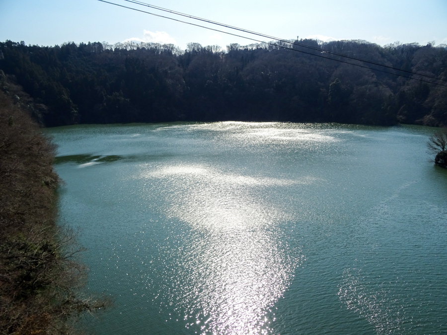 DSC00174.jpg