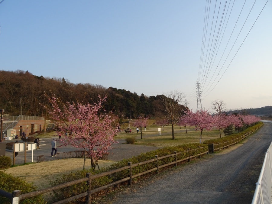 DSC00220.JPG