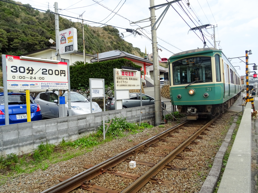 DSC00574.jpg