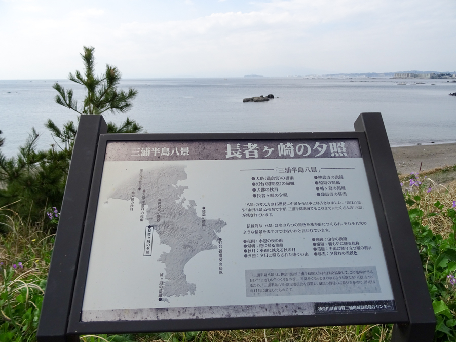 DSC00651.jpg