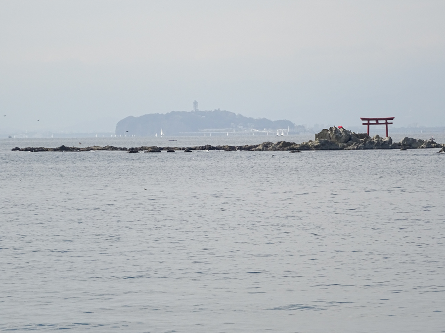 DSC00668.jpg