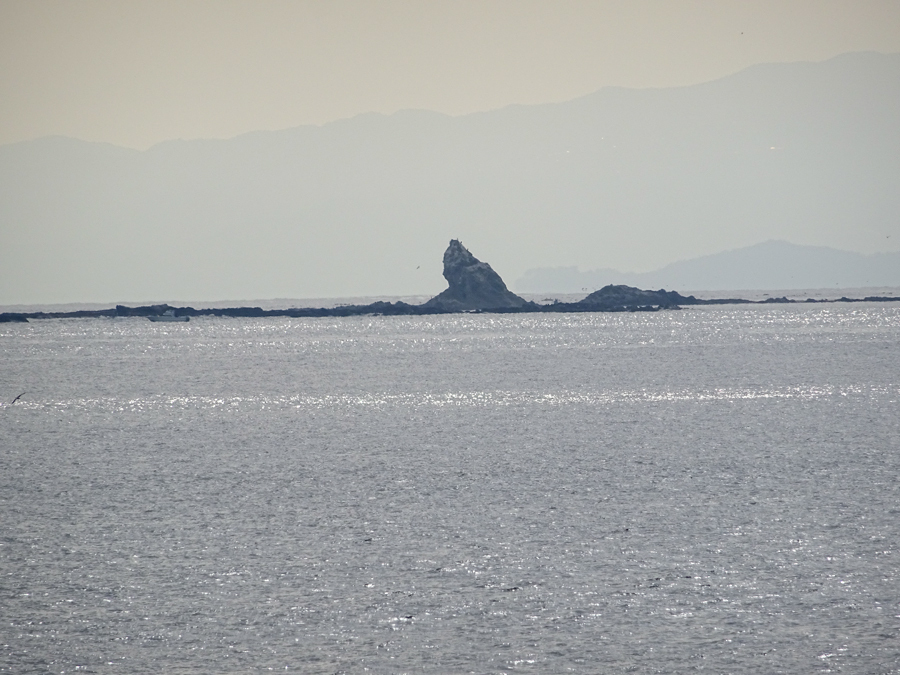 DSC00724.jpg