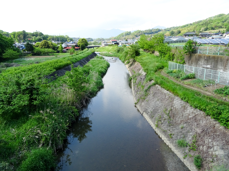 DSC00774.jpg