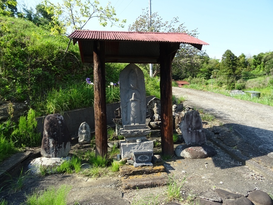 DSC00793.JPG